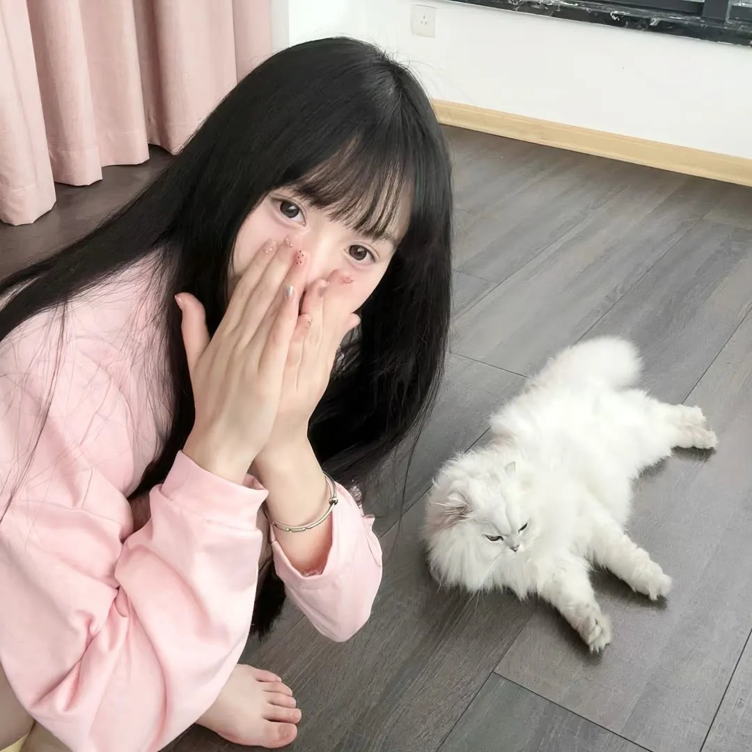 综艺纪实